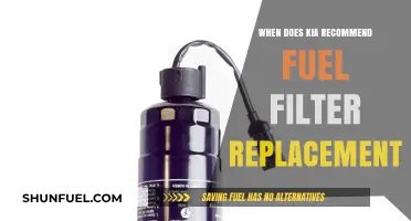 Kia Fuel Filter: When to Replace?