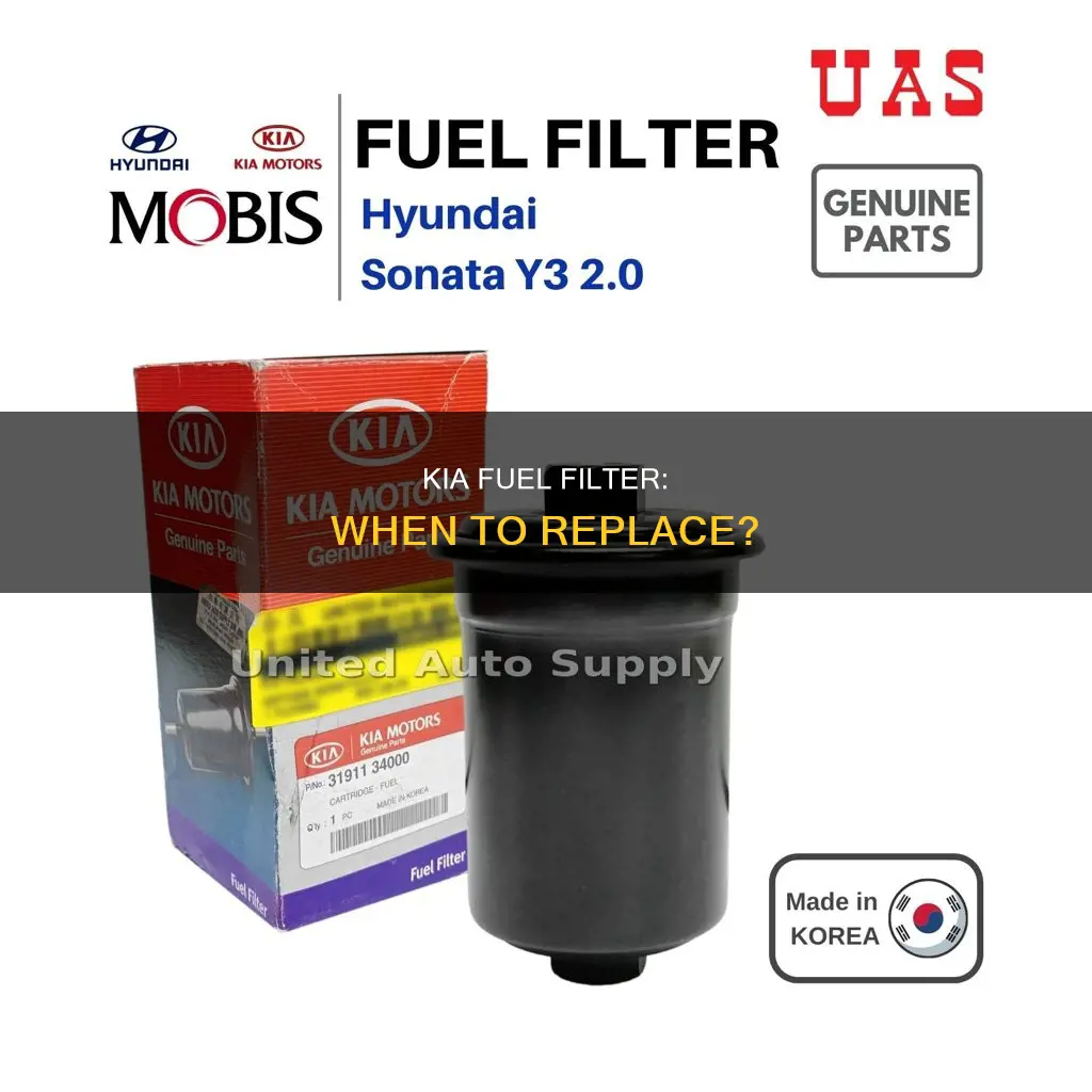 when does kia recommend fuel filter replacement