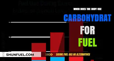 Carbohydrates as Fuel: When and How Your Body Utilizes Them