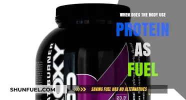 When Does Your Body Burn Protein for Energy?
