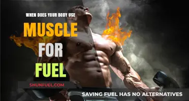 When Does Your Body Burn Muscle for Energy?