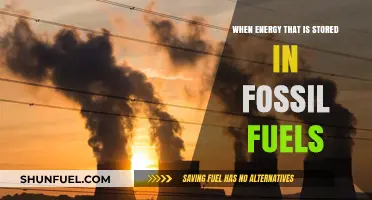 Unlocking the Power: How Fossil Fuels Store and Release Energy