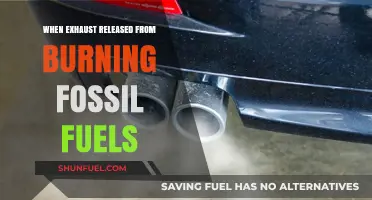 Fossil Fuel Exhaust: Environmental Impact and Burning Consequences Explained