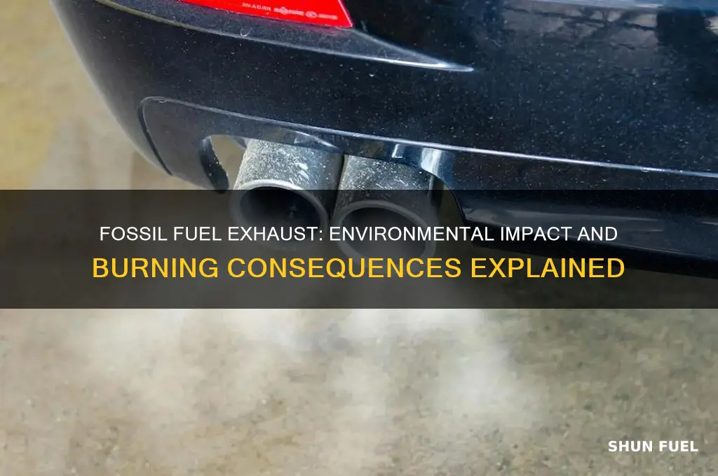 when exhaust released from burning fossil fuels