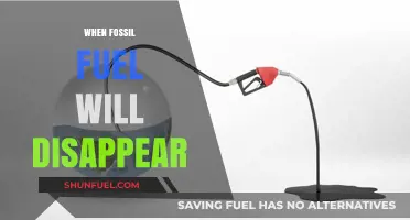 The Inevitable End: When Will Fossil Fuels Vanish from Earth?