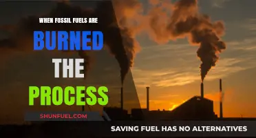Burning Fossil Fuels: Unveiling the Process and Environmental Impact
