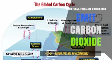 Burning Fossil Fuels: The Carbon Dioxide Emissions Crisis Explained
