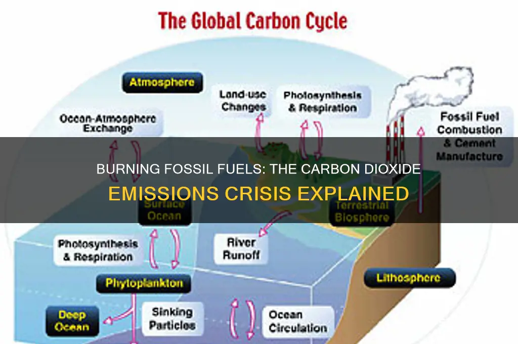 when fossil fuels are burned they emit carbon dioxide