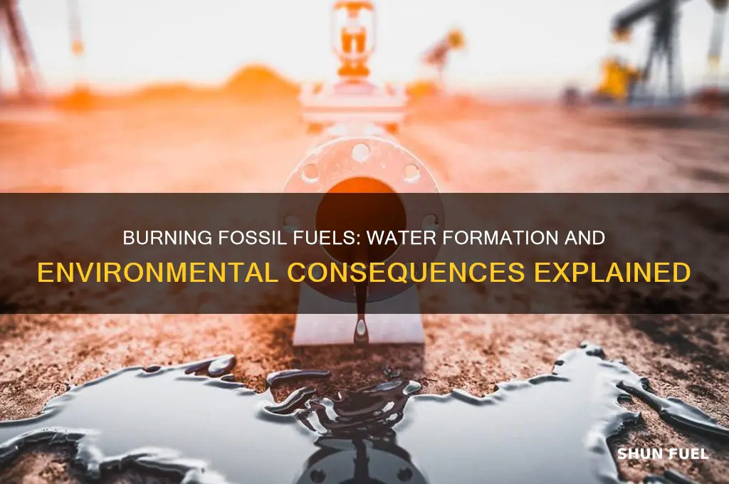 when fossil fuels are burned they form water and