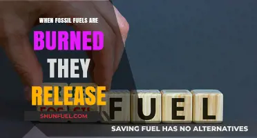 The Dark Side of Fossil Fuels: Emissions and Climate Change