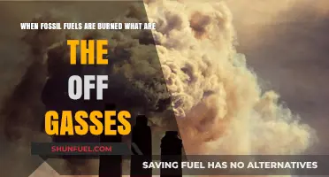 Burning Fossil Fuels: Unveiling the Harmful Off-Gases Released
