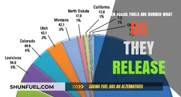 Burning Fossil Fuels: Unveiling the Emissions and Environmental Impact