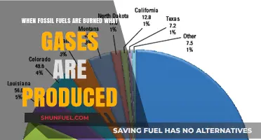 Burning Fossil Fuels: Unveiling the Gases Released into Our Atmosphere
