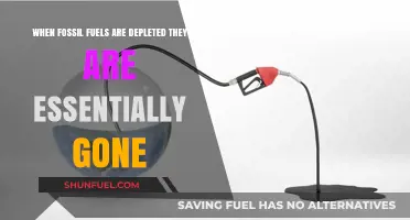 Fossil Fuels: Irreplaceable and Finite – Facing a Depleted Future