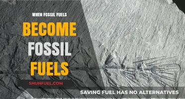 The Ancient Origins of Fossil Fuels: A Journey Through Time