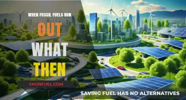 Beyond Fossil Fuels: Preparing for a Post-Carbon Energy Future