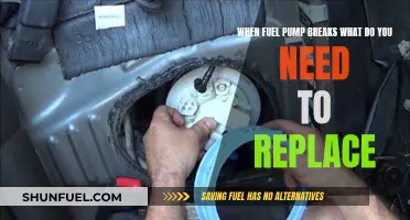 Fuel Pump Failure: What Parts Need Replacing?