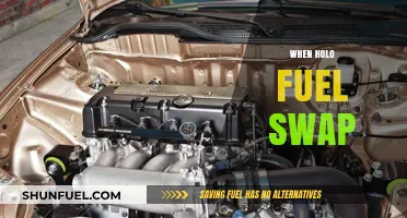 Exploring the Future: When Will Holo Fuel Make the Swap?