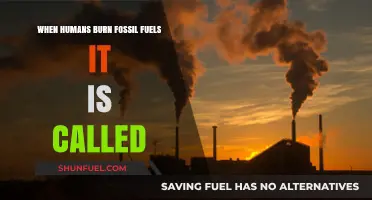 Burning Fossil Fuels: The Human Impact on Climate Change Explained