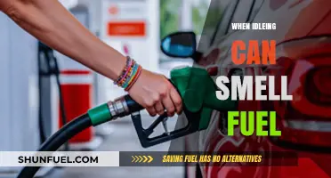 Why Your Car Smells Like Fuel When Idling: Causes and Fixes