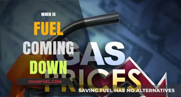 Anticipating Relief: When Will Fuel Prices Finally Drop?