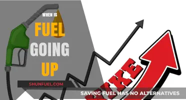 Anticipating the Next Fuel Price Hike: What You Need to Know