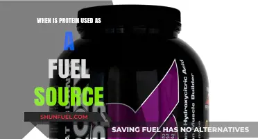 When Does Your Body Burn Protein for Energy?
