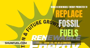 Renewable Energy: Replacing Fossil Fuels by When?