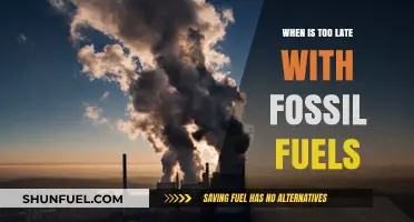 Is It Too Late to Ditch Fossil Fuels and Save Our Planet?