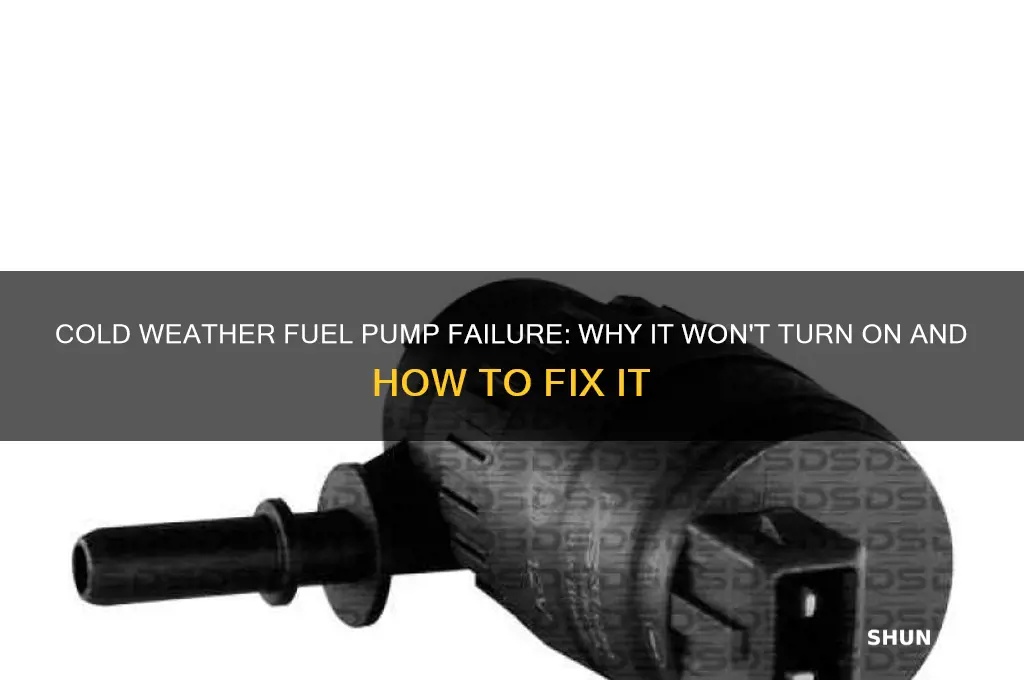when it gets cold the fuel pump wont turn on