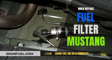 Mustang Fuel Filter: When and Why to Replace It