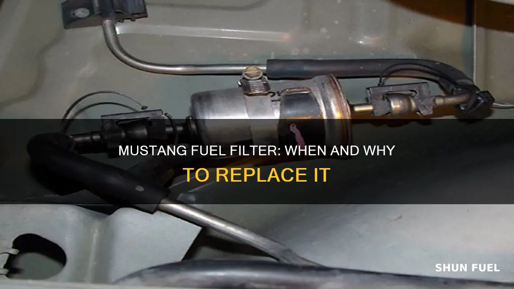 when replace fuel filter mustang