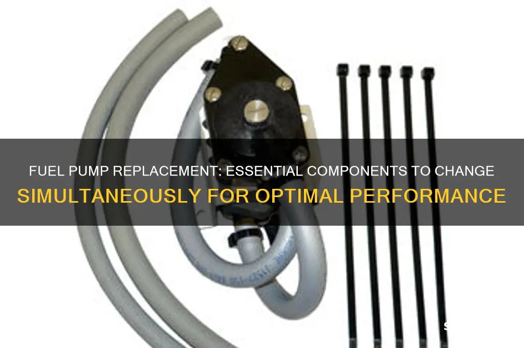 when replacing a fuel pump what else should you replace