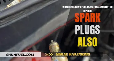 Should You Replace Spark Plugs When Doing Fuel Injectors?