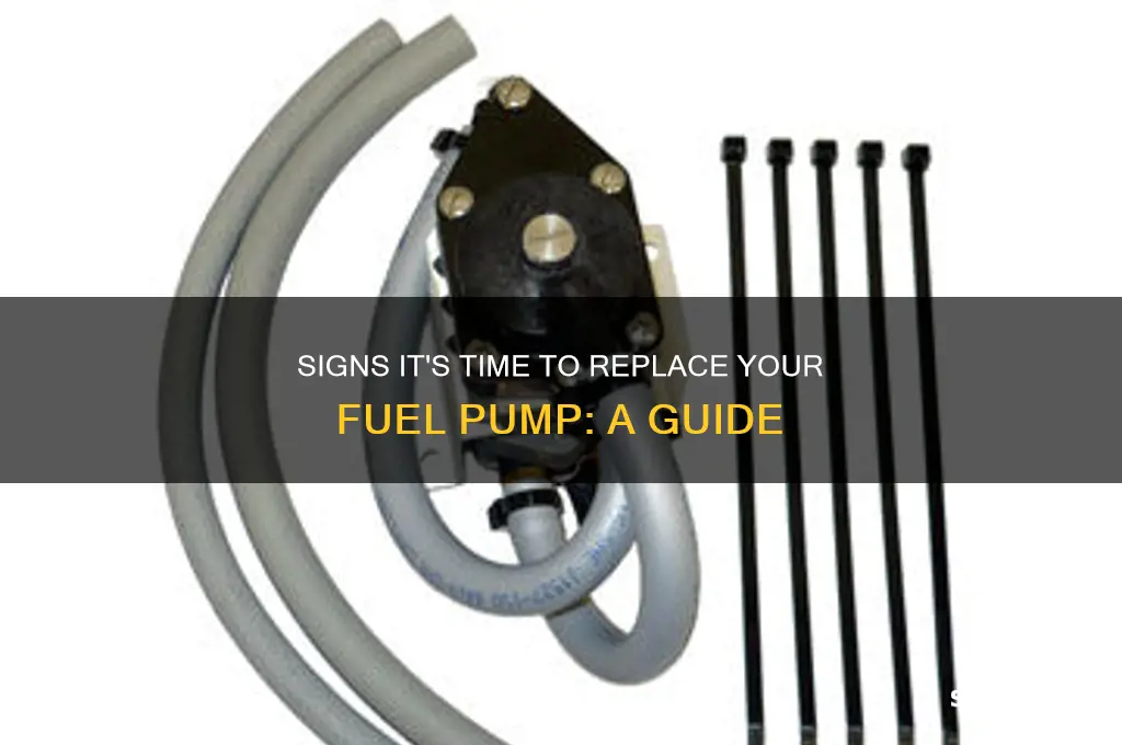 when shold you replace your fuel pump