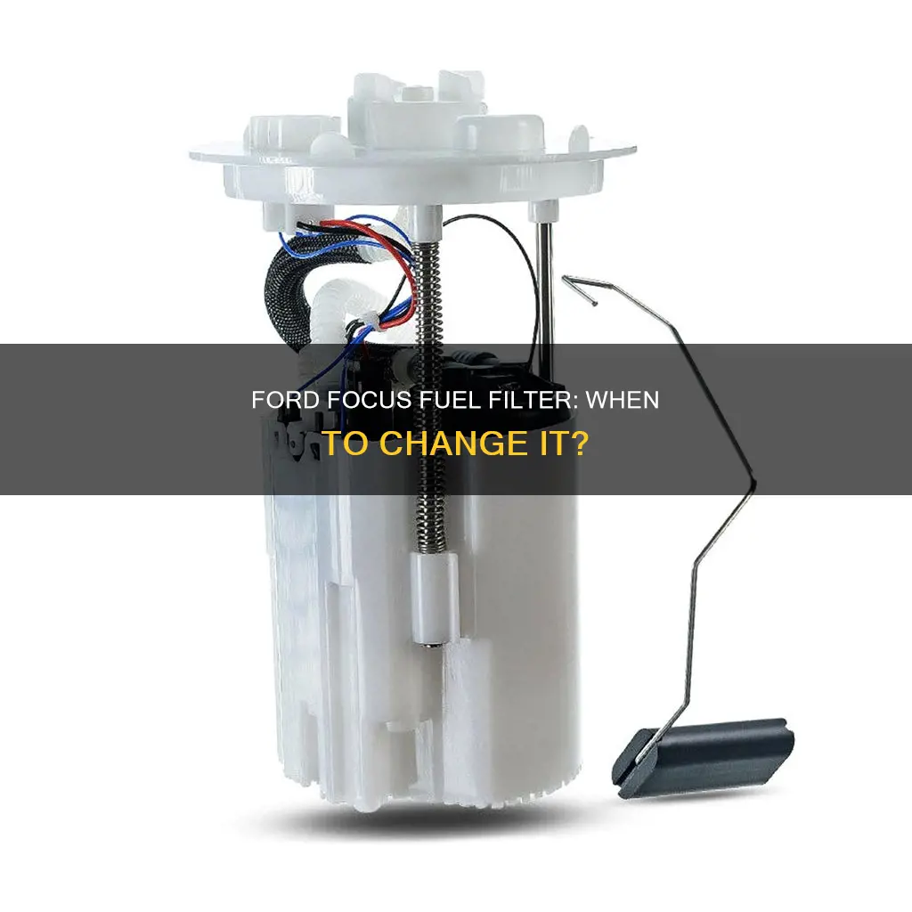 when should i change fuel filter ford focus