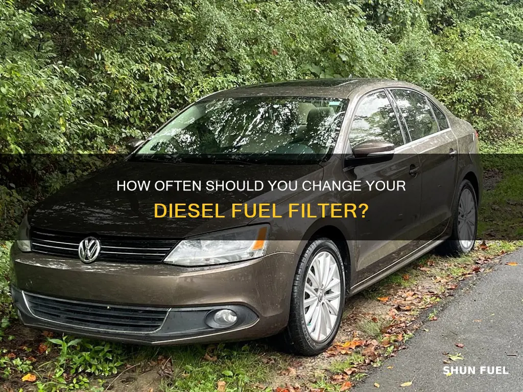 when should i change my diesel fuel filter vw tdi