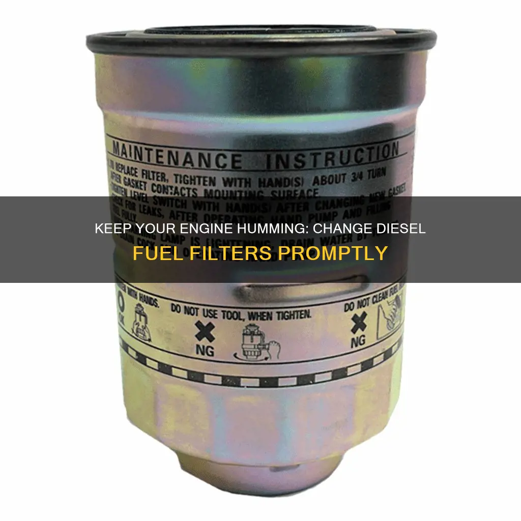 when should i change my diesel fuel filter