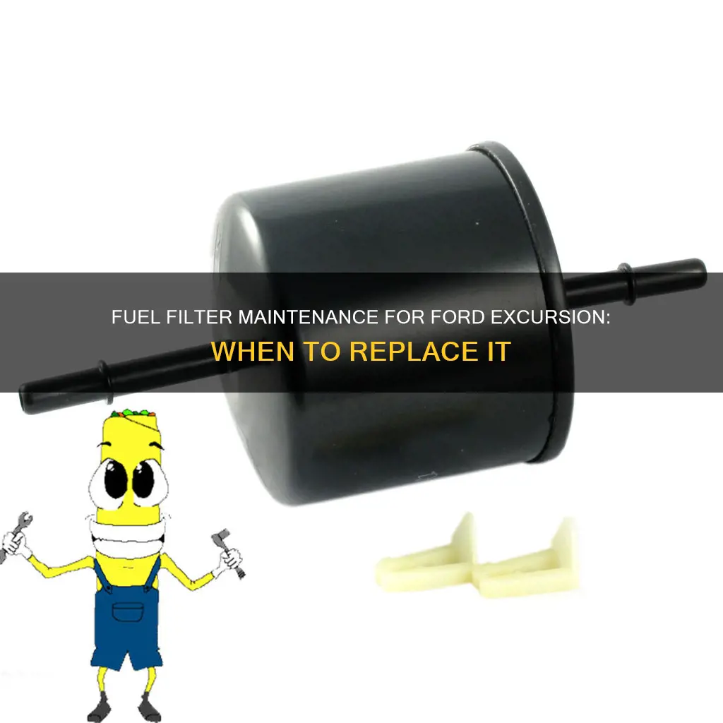 when should i replace my fuel filter ford excursion