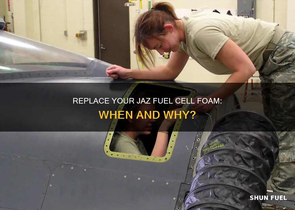 when should i replace my jaz fuel cell foam