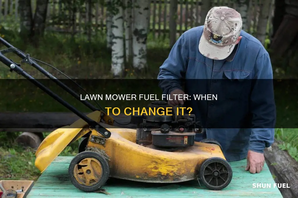 when should you change your lawn mowers fuel filter