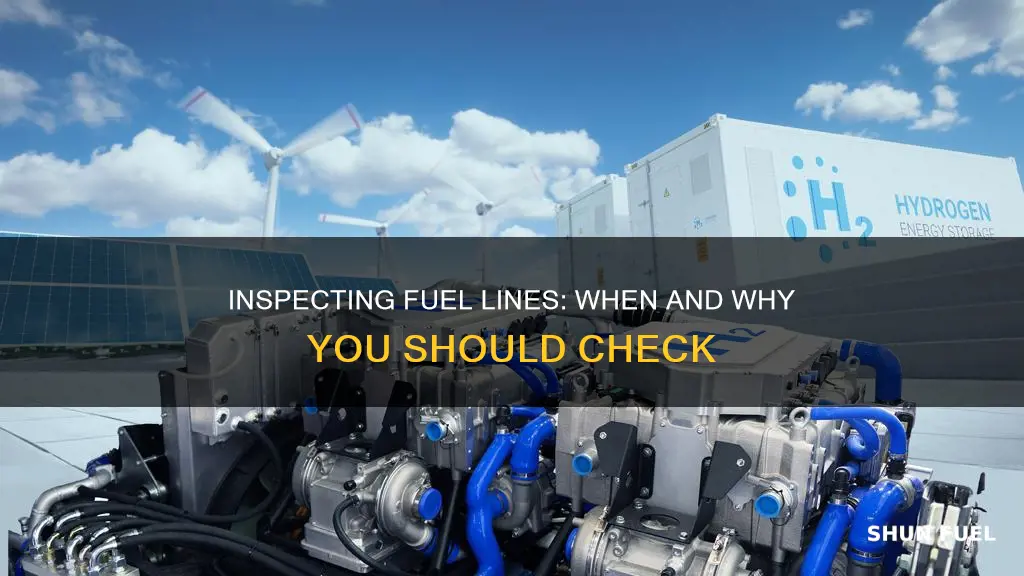 when should you check to see that fuel lines