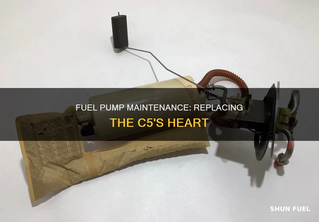 when should you replace the fuel pump on a c5