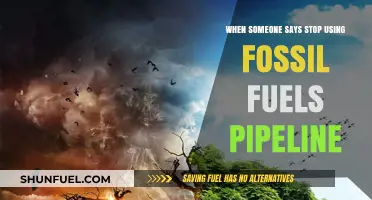 Beyond Pipelines: Why Stopping Fossil Fuels is Crucial for Our Future