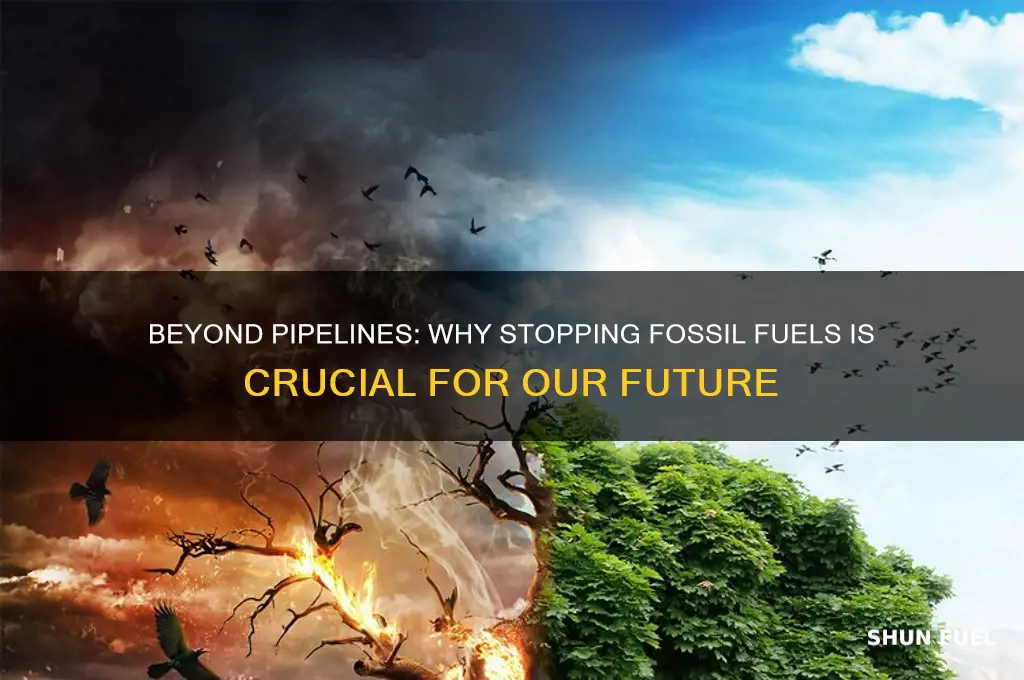 when someone says stop using fossil fuels pipeline