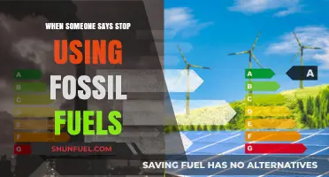 Beyond Fossil Fuels: Embracing a Sustainable Energy Future Now