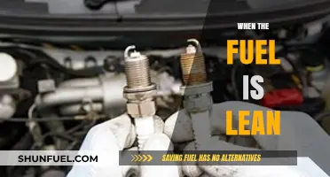 Exploring the Effects of Lean Fuel Mixtures on Engine Performance