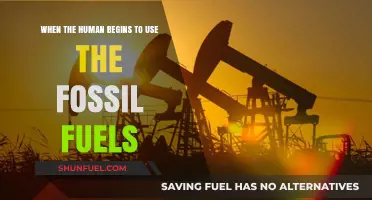 The Dawn of Fossil Fuels: Humanity's Shift to Coal and Oil