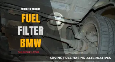 BMW Fuel Filter: When to Change It?