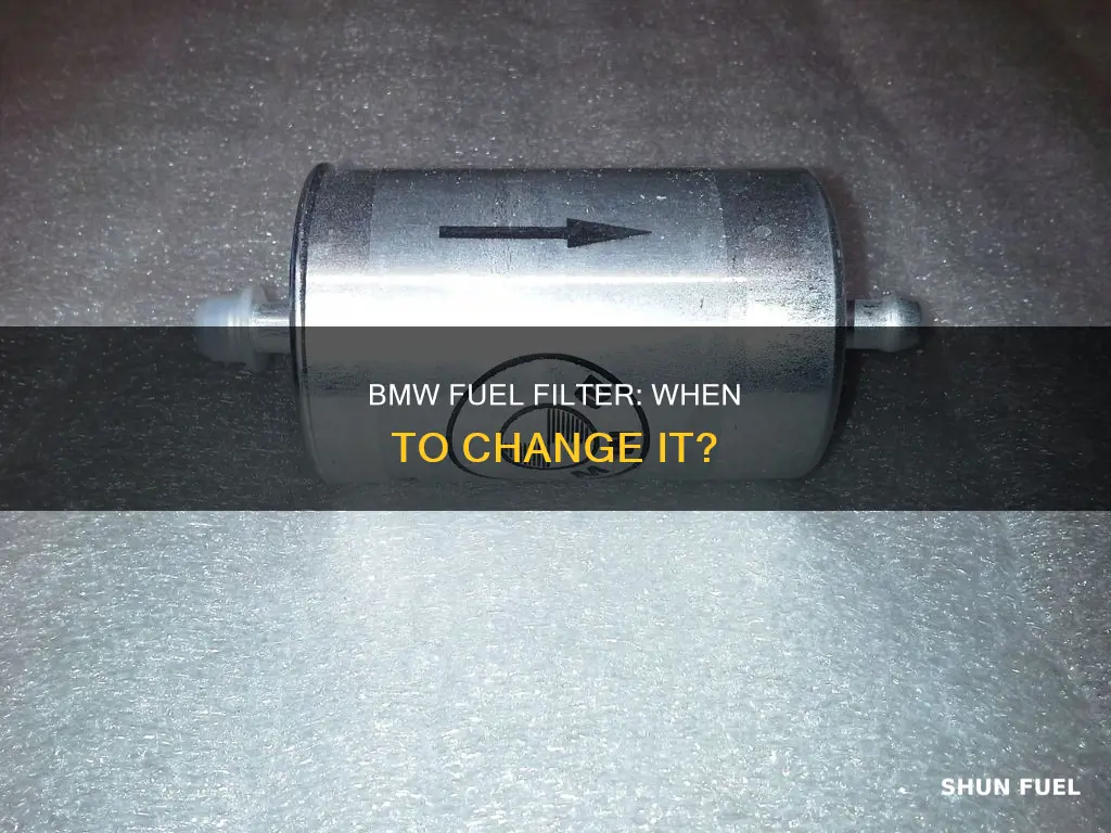 when to change fuel filter bmw
